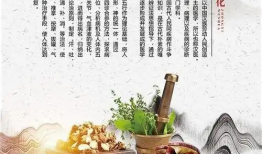 养生之道视频,揭秘健康生活的秘诀